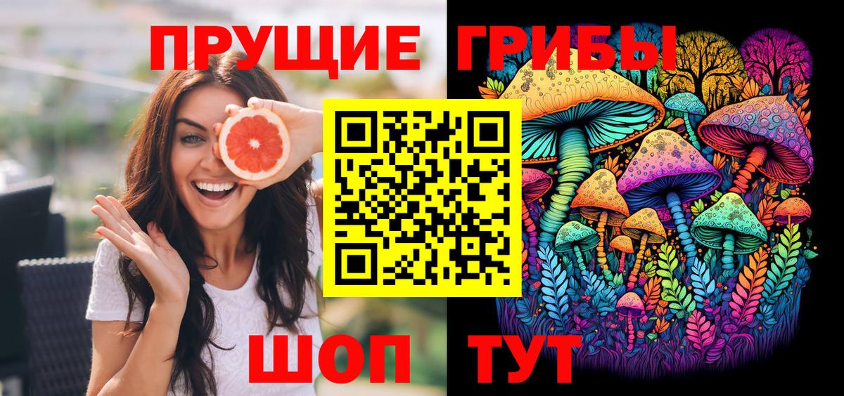 Псилоцибиновые грибы Psilocybe  Вход с VPN  Великие Луки 