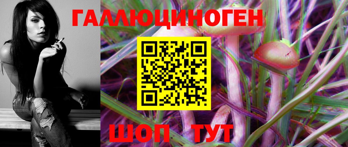Псилоцибиновые грибы мухоморы Великие Луки