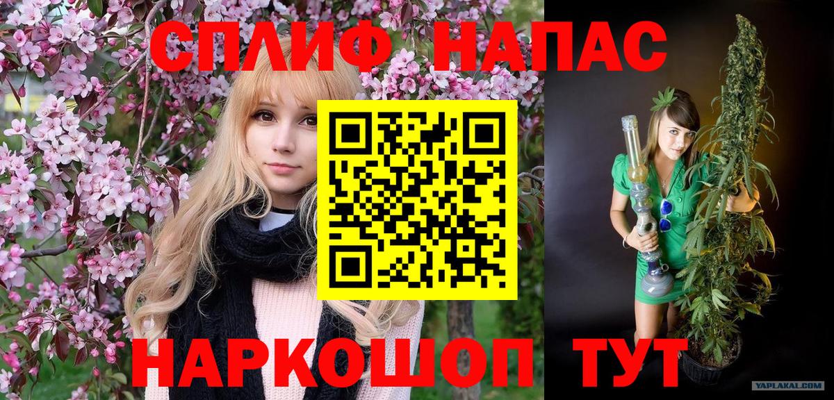 Бошки Шишки планчик  Каннабис SATIVA & INDICA  Великие Луки  Бошки марихуана индика  Вход с VPN  Бошки марихуана Bruce Banner 